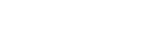 DUEL Logo
